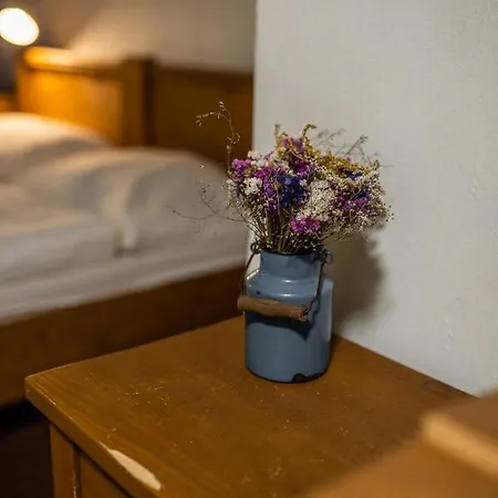 Pansky Dum Guest house